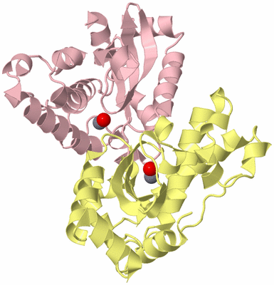 Image Biological Unit 2