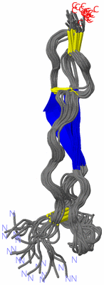 Image NMR Structure - all models