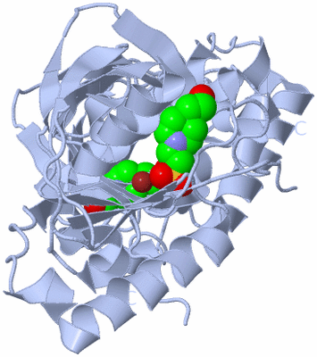 Image Biological Unit 1