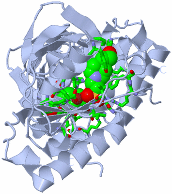 Image Biol. Unit 1 - sites