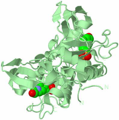 Image Biological Unit 2