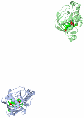 Image Asym. Unit - sites