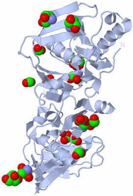 Image Biological Unit 1