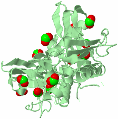 Image Biological Unit 2