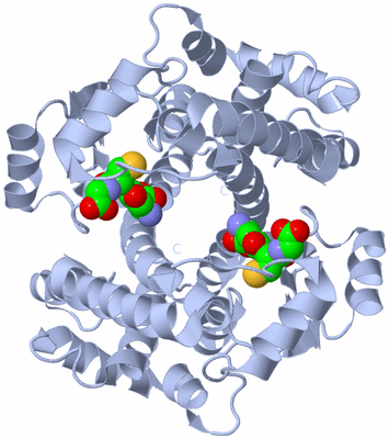 Image Biological Unit 1