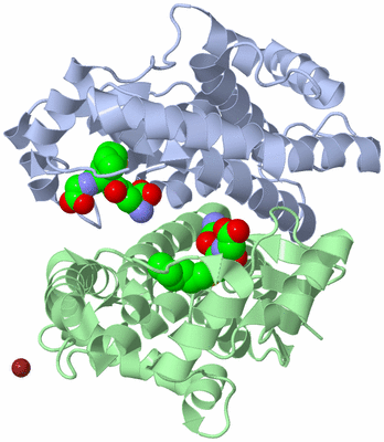 Image Asym./Biol. Unit