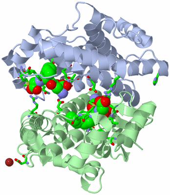 Image Asym./Biol. Unit - sites