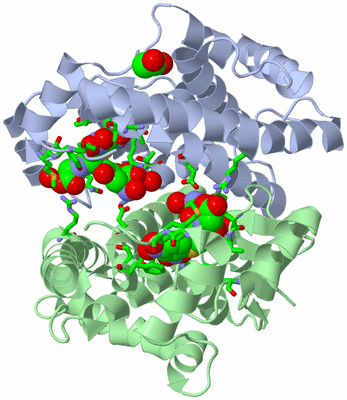 Image Asym./Biol. Unit - sites