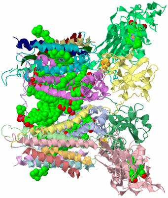 Image Asym./Biol. Unit