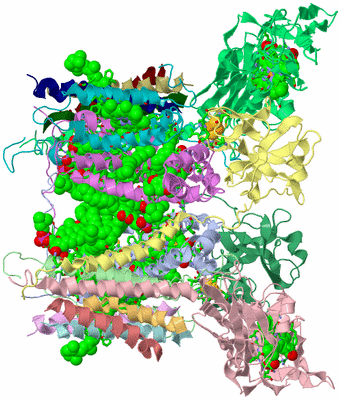 Image Asym./Biol. Unit - sites