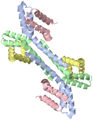 Image Biological Unit 3