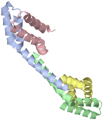 Image Biological Unit 4