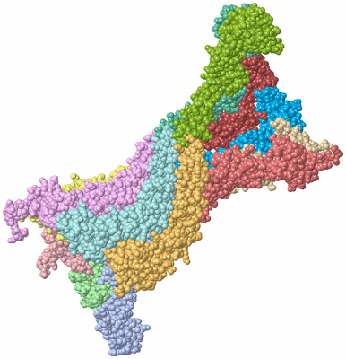 Image Asym./Biol. Unit