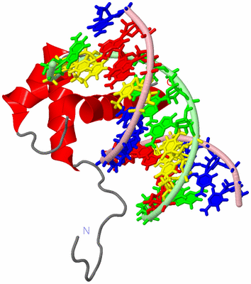 Image NMR Structure - model 1