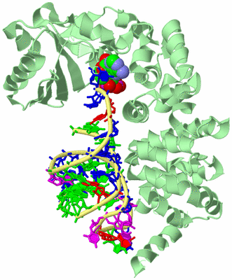 Image Biological Unit 2