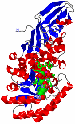 Image Asym. Unit - sites