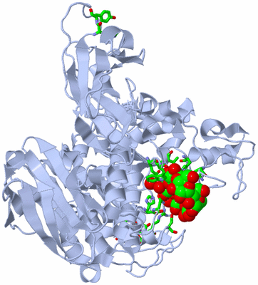 Image Biol. Unit 1 - sites