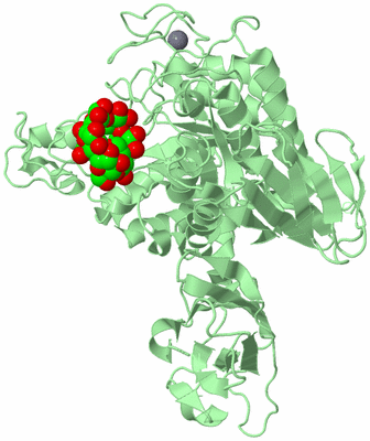 Image Biological Unit 2