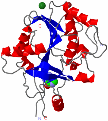 Image Asymmetric Unit