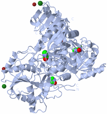 Image Biological Unit 1