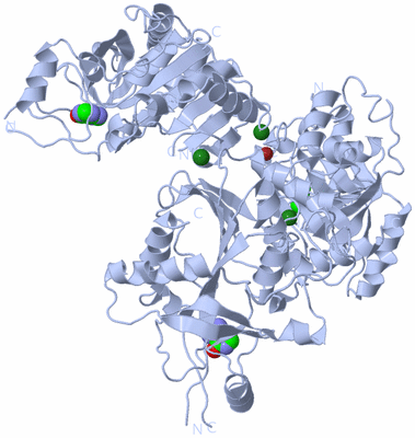 Image Biological Unit 2