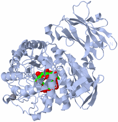 Image Biological Unit 1