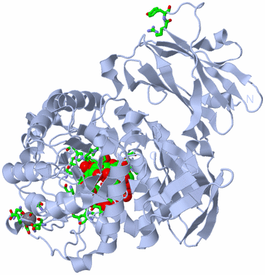 Image Biol. Unit 1 - sites