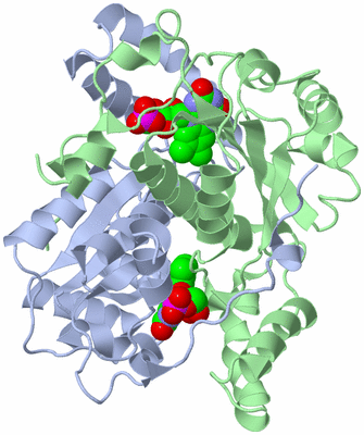 Image Asym./Biol. Unit