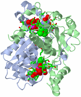 Image Asym./Biol. Unit - sites