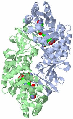 Image Asym./Biol. Unit