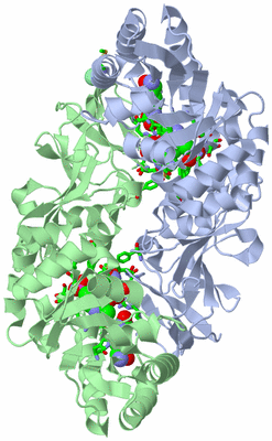 Image Asym./Biol. Unit - sites