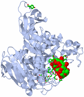 Image Biol. Unit 1 - sites