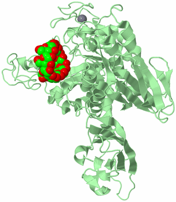 Image Biological Unit 2