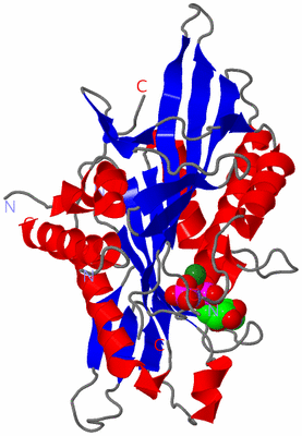 Image Asym./Biol. Unit