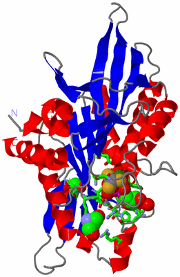 Image Asym./Biol. Unit - sites