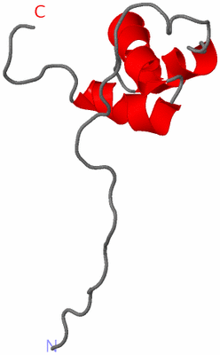 Image NMR Structure - model 1