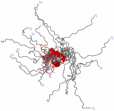 Image NMR Structure - all models