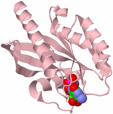 Image Biological Unit 3