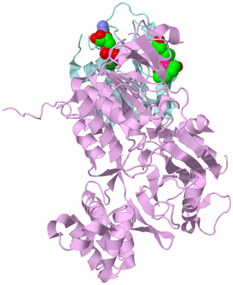 Image Biological Unit 3