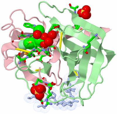 Image Biol. Unit 1 - sites