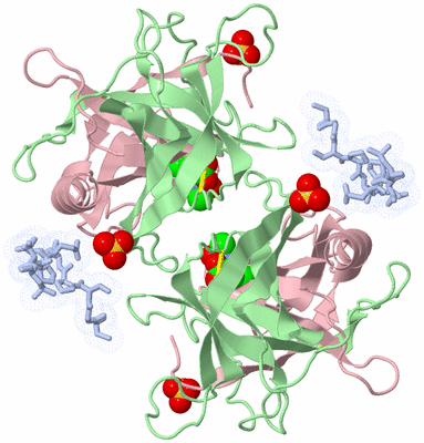 Image Biological Unit 3