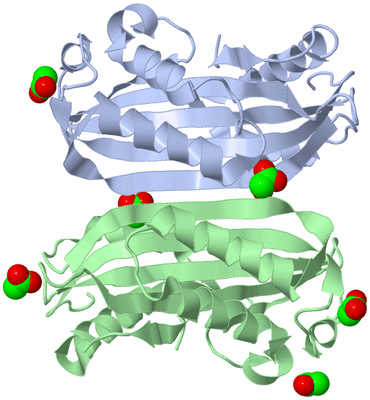 Image Asymmetric Unit