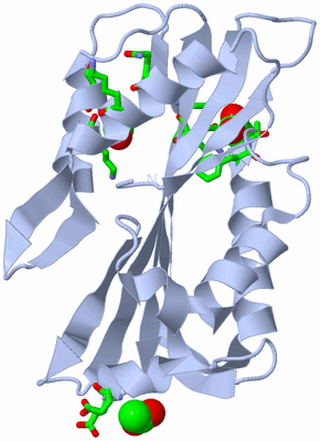 Image Biol. Unit 1 - sites
