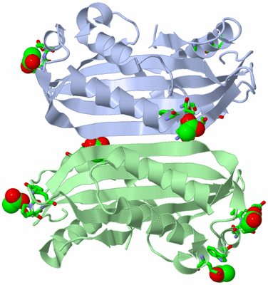 Image Asym. Unit - sites