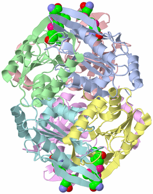 Image Asym./Biol. Unit