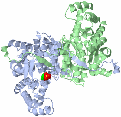 Image Asym./Biol. Unit