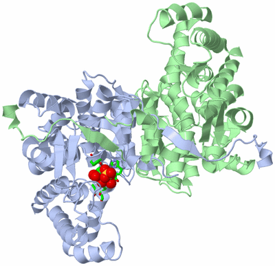 Image Asym./Biol. Unit - sites