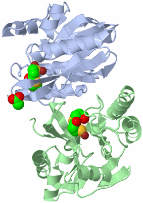 Image Asym./Biol. Unit