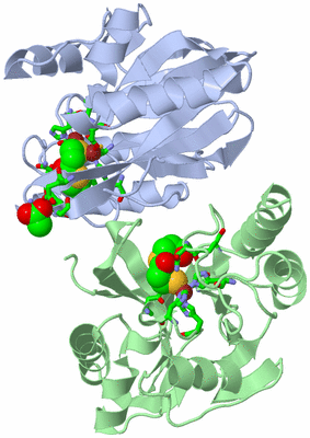 Image Asym./Biol. Unit - sites