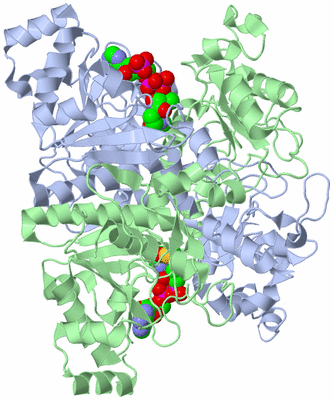 Image Asym./Biol. Unit